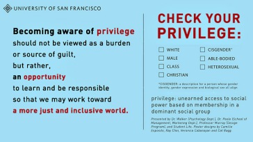 privilege 3